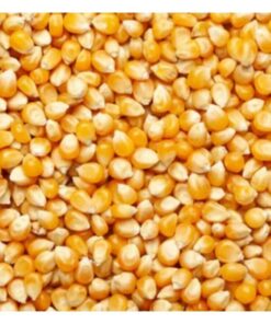 Natural Yellow Maize Corn Bulk
