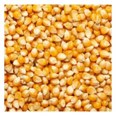 Natural Yellow Maize Corn Non-GMO Protein-Rich Bulk Exporter India Animal Feed for Livestock Poultry Horse Pig 30kg/50kg Bags