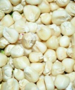 High Quality Non-GMO Dried Yellow and White Corn Kernels
