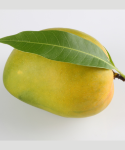 Vietnamese Manufacturer's Export-Quality Ready-to-Eat Fresh Mangoes