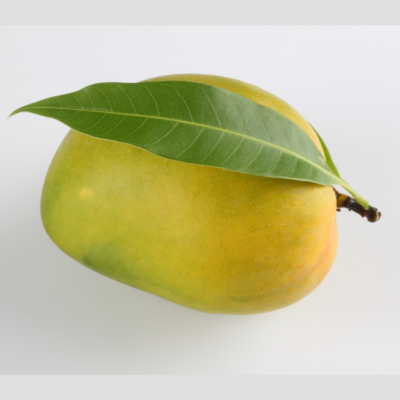 Vietnamese Manufacturer's Export-Quality Ready-to-Eat Fresh Mangoes Naturally Sweet High in Demand
