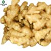 Fresh Ginger and Air Dried Ginger from Shandong China