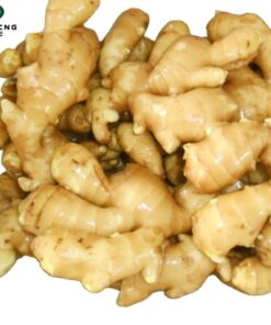 Fresh Ginger and Air Dried Ginger from Shandong China