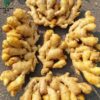 Wholesale Organic Fresh Ginger Root