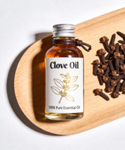 Pure Natural Clove Oil Wholesale
