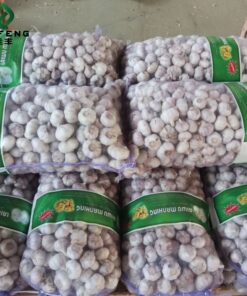 Chinese Fresh White Garlic