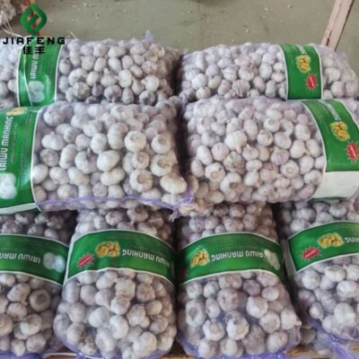 Good Price Chinese Fresh White Garlic for Wholesale Fresh Vegetables in 20kg Mesh Bags/cartons Factory Price Fresh White Garlic