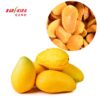 Frozen Mango Slices Chunks