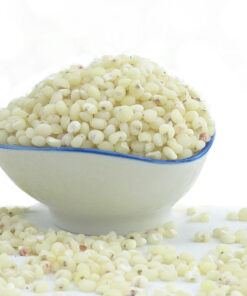White Sorghum Bulk Supply