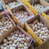 Chinese Factory Direct Sales Fresh Garlic