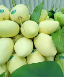 Golden Fresh Fruit Mangos