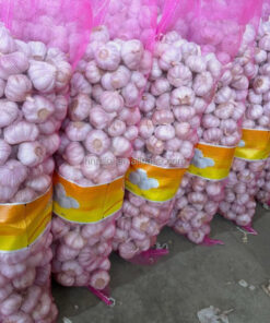 Wholesale Fresh Garlic