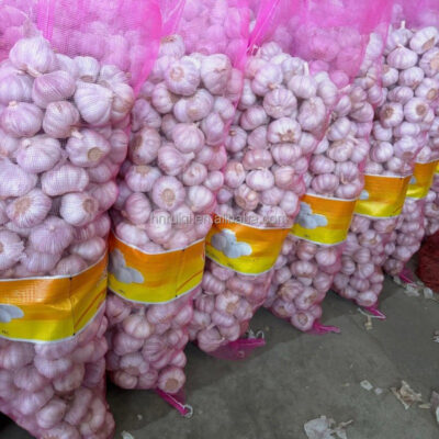 Wholesale Fresh Garlic 10kg 20kg Bag China Garlic Size 5.0 cm Red/White Garlic