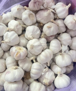 Spices