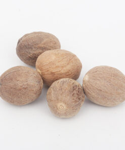 Nutmeg Factory Supply