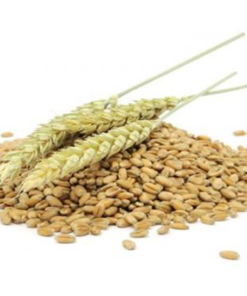 Organic Goat Feed Wheat Bran