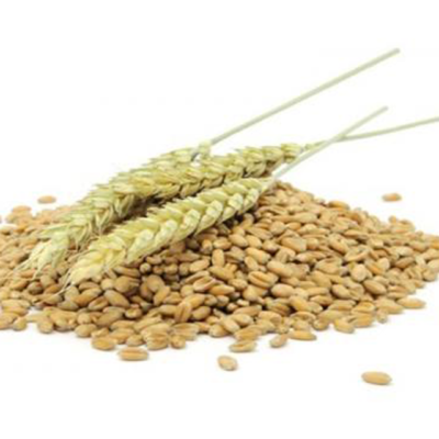Organic Goat Feed Wholesale Grain Wheat Bran at Low Price Bulk Packaging