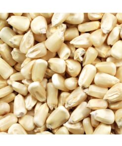 Air Dried Non-GMO Non-Glutinous Yellow White Corn / White Maize Grains 24 Months Shelf Life Thailand Origin Cheap Price