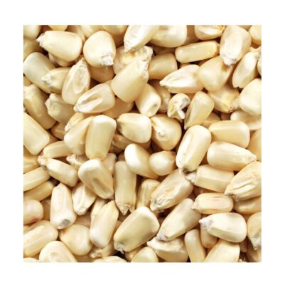 Air Dried Non-GMO Non-Glutinous Yellow White Corn / White Maize Grains 24 Months Shelf Life Thailand Origin Cheap Price