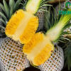 Top Supplier's Best Selling Fresh Pineapples