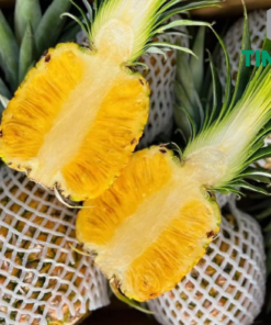 Top Supplier's Best Selling Fresh Pineapples