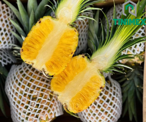 Top Supplier's Best Selling Fresh Pineapples High Quality Sweet and Yellow Flesh Pineapple From Vietnam