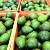 Natural Healthy Hass Avocado